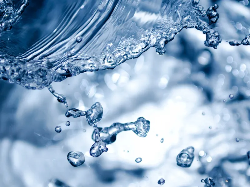 כמה מים צריך לשתות ביום