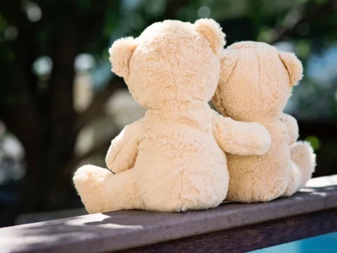 גידול ילדים