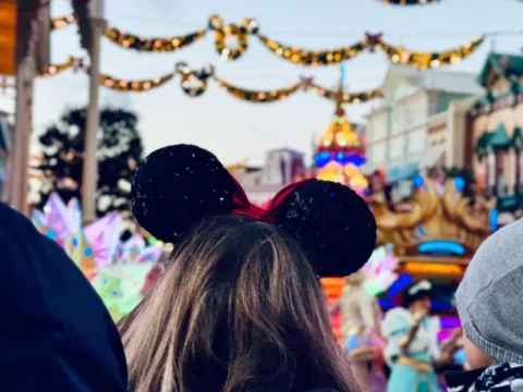 טיול בדיסנילנד